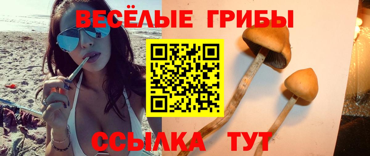 МДМА Зеленогорск